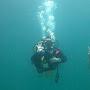 @triggerfish13scuba23