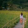 @ngoctrinhphan1449