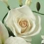 @pavithra1836