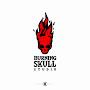 @BURNING_SKULL-HEAD6