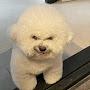 @둘리-m5o