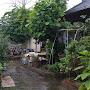 @rainyday0815