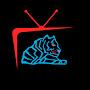 @Tigerrocktv