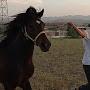 @hamedrezaee-vy1vo