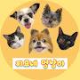 @찌요네멍냥이
