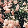 @audel1a572