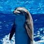 @volodymyrdelfin4939