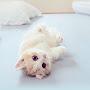 @나무늘보-u8u