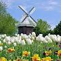 @hthien5656