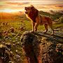 @Christ77756