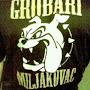 @miljakovacjedan7105
