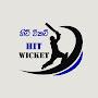 @hitwicket-