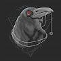 @crow6941