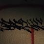@burd_sary_graffiti126