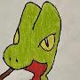 @Treecko_man