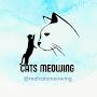 @Realcatsmeowing
