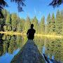 Nature and Guitars