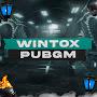 @wintox_pubgm