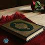 @شاديحسن-ذ6غ