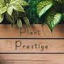 @PlantPrestige