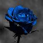 @bluerzing