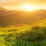@parvathysatheesh6520