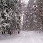 @АнтонШиршов-м5у