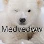 Medvedww