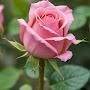 @지나야-m9r