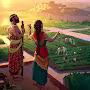 @Indus-valleywatch