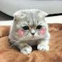 @meomotmi149