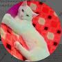 @TomandJerry2011-z4m