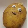 A Literal Potato
