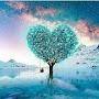 @musthafamusthu102