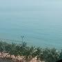 @Aitush-g6g
