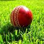 @cricketlearner8035