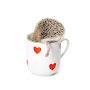 @Hedgehog_heel