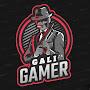 GaLi Gamer