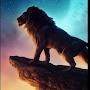 @p.vigneshwaran6628