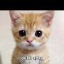 @meme_maniya45