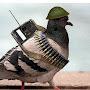 @TheCriticalPigeon