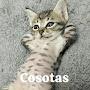 @Serio72