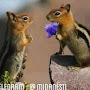 @mohamadsharafi8194