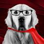 @doggosScience