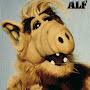 Alforel Alf