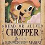 @chopper_17san