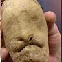 @Potatoshaneko