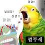 @o_oJjong