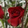 @May-rk5bl