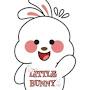 @littlebunny-o6t